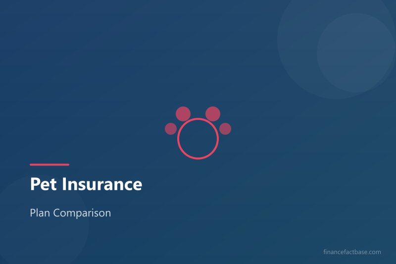 Dog and cat sitting together representing pet insurance coverage options for different animals