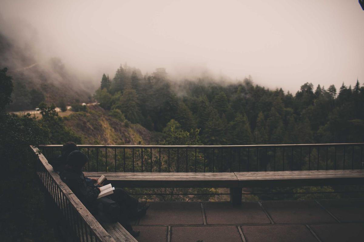 Mobile banking app used to manage high-yield savings and Treasury bill transfers